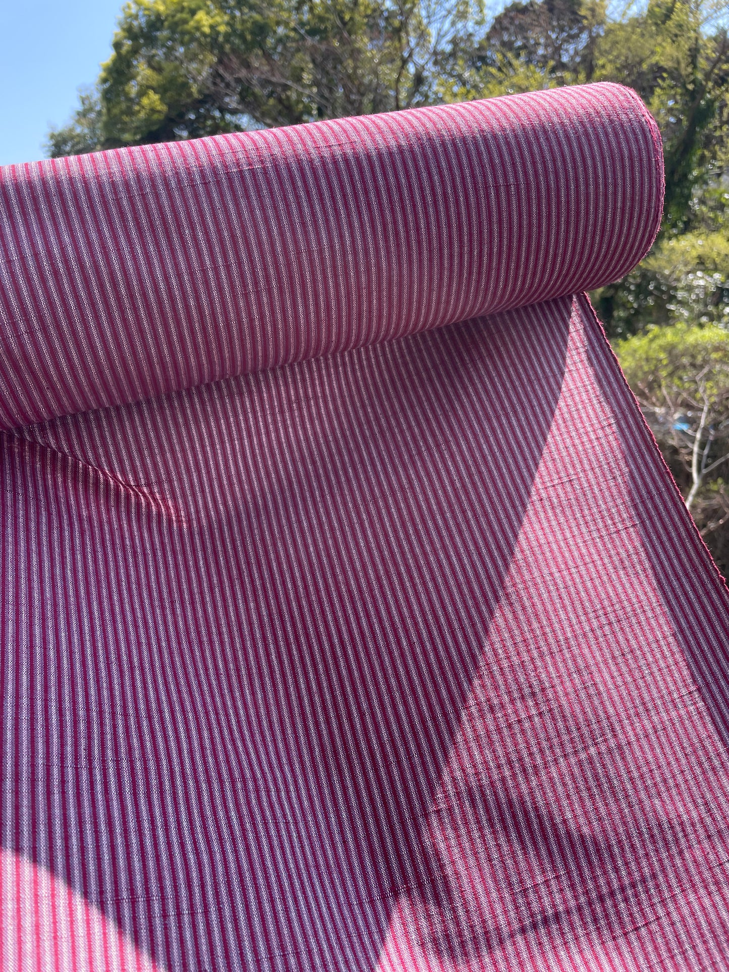 Bingo woven cotton "Plain weave (blue lapis lazuli)" Single layer